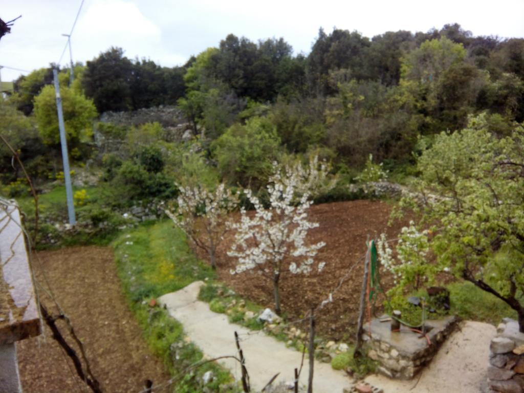 Holiday Home Loznati Cres Kültér fotó
