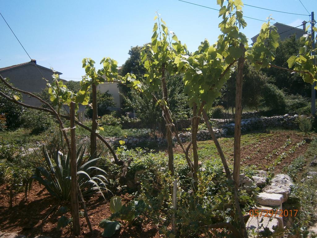 Holiday Home Loznati Cres Kültér fotó