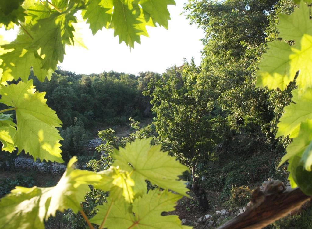 Holiday Home Loznati Cres Kültér fotó